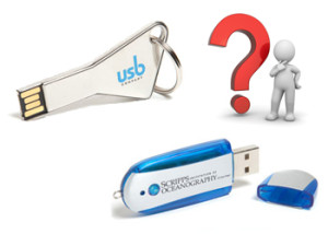 Choose between web key or flash drive